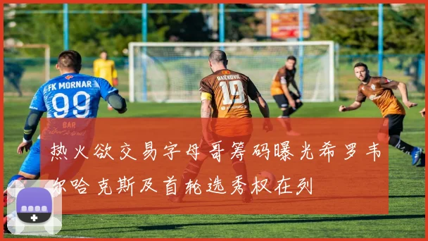 热火欲交易字母哥筹码曝光希罗韦尔哈克斯及首轮选秀权在列